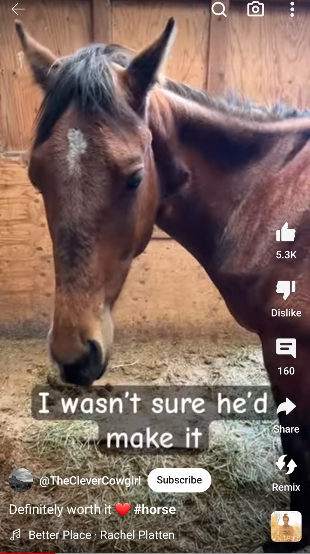 I don’t normally click on shorts but the ending sent me to&nbsp;hell